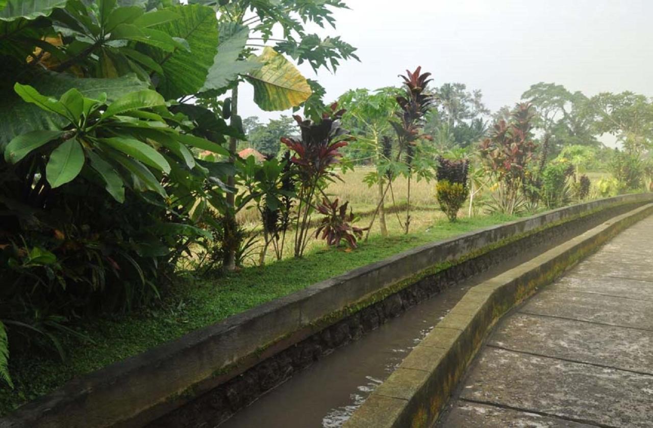 Hotel Candra Asri Bungalow Ubud Exteriér fotografie