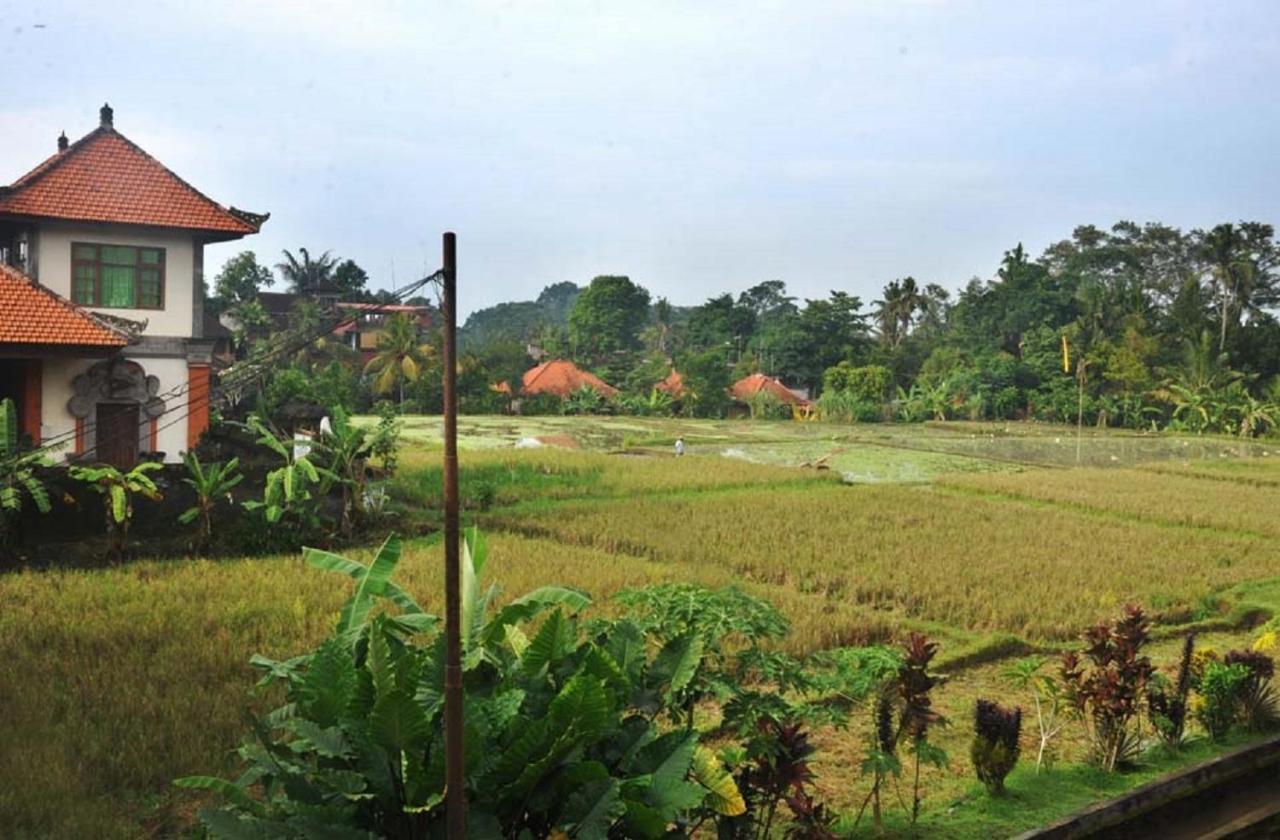 Hotel Candra Asri Bungalow Ubud Exteriér fotografie